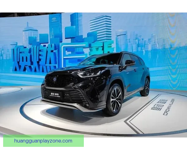 皇冠平台的优势与挑战全面解析及用户体验评测